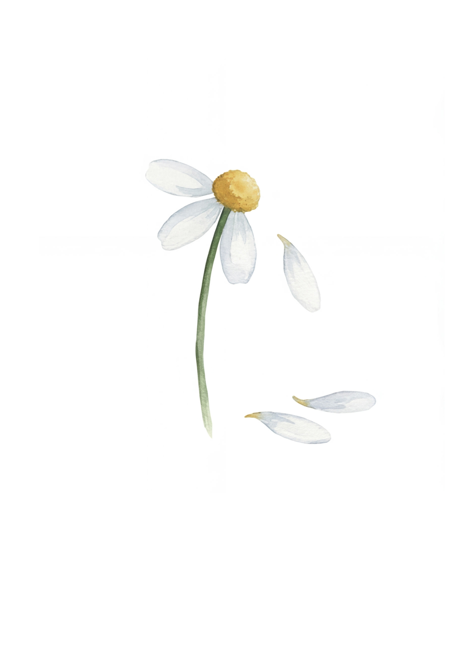 Carte Passionnément